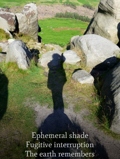 Ephemeral shade Fugitive interruption The earth remembers