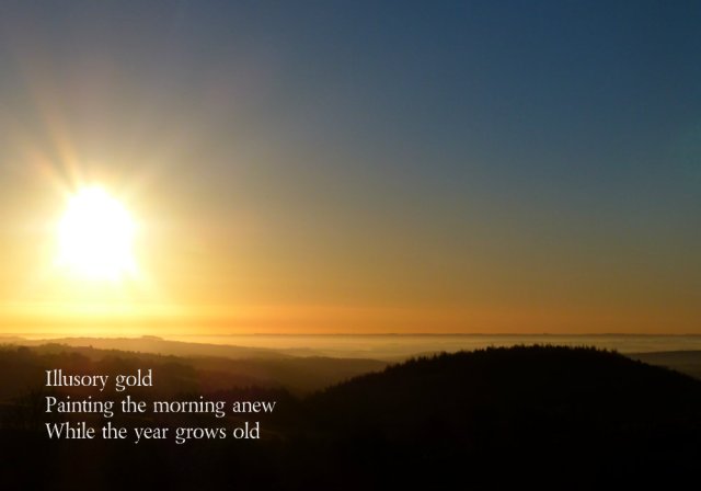 Illusory gold Painting the morning anew While the year grows old