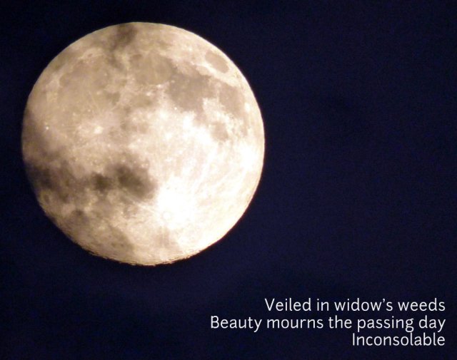 Veiled in widow's weeds Beauty mourns the passing day Inconsolable