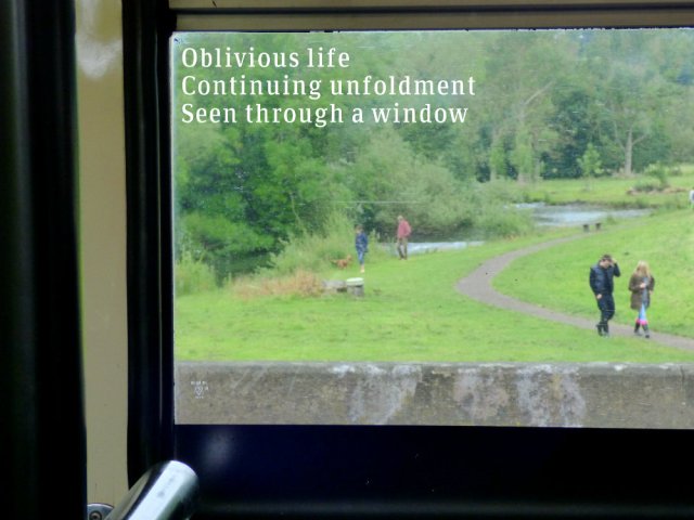 Oblivious lifeContinuing unfoldmentSeen through a window