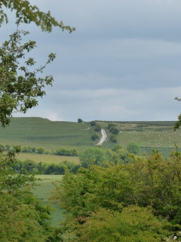 ‘Verily, verily I say unto you, find the path and stay on it.’