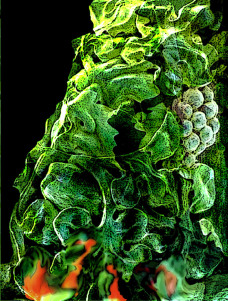 Steve Green Man Dyingv4AA