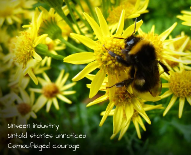 Unseen industryUntold stories unnoticedCamouflaged courage