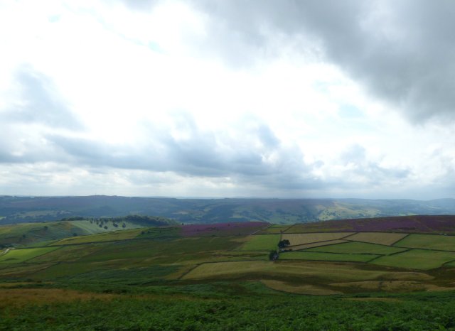 heather 2015 derbyshire, higger tor, beeley circle, edensor, bak 003