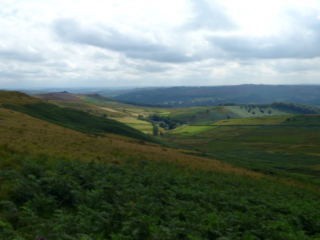 heather 2015 derbyshire, higger tor, beeley circle, edensor, bak 004