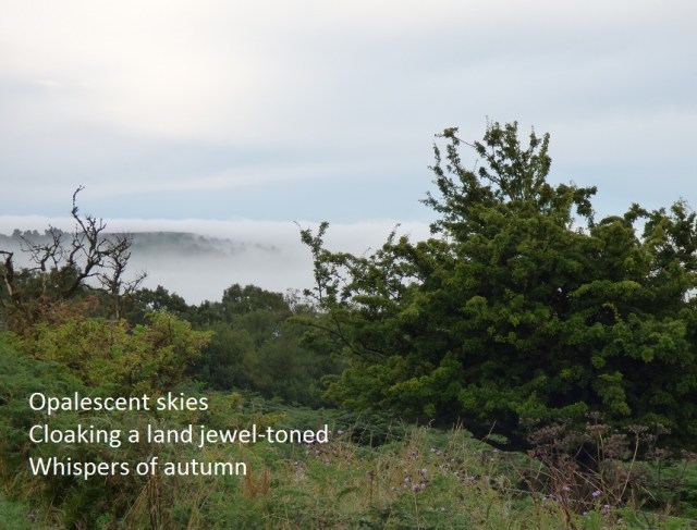 Opalescent skies Cloaking a land jewel-toned Whispers of autumn