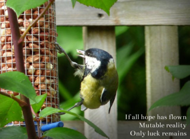 If all hope has flown mutable reality only luck remains