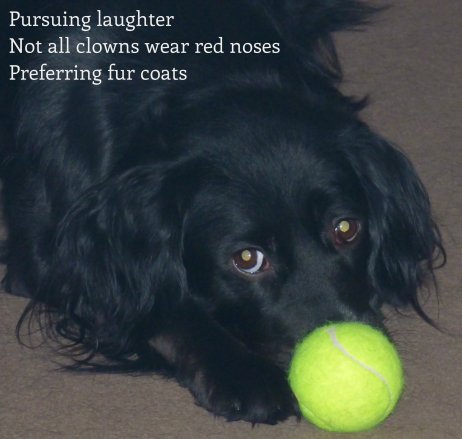Pursuing laughter Not all clowns wear red noses Preferring fur coats