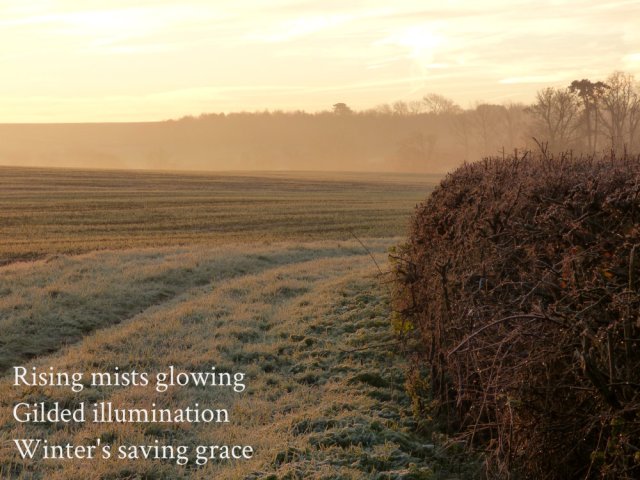 Rising mists glowing Gilded illumination Winter's saving grace