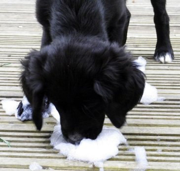 283153_10150245511972852_3588941_n