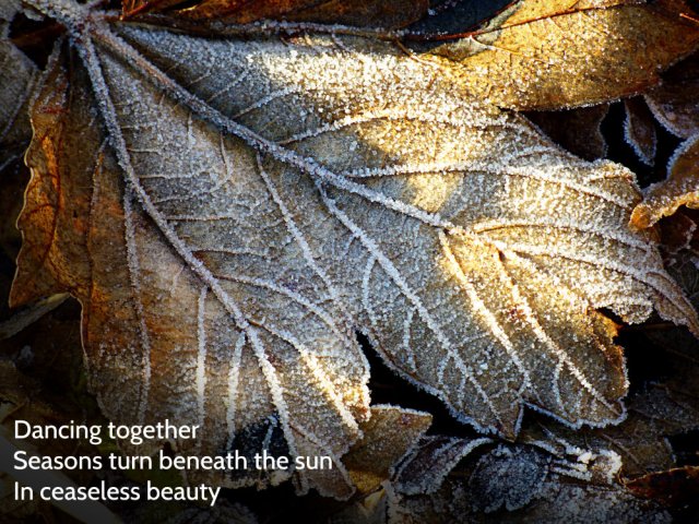 Dancing together Seasons turn beneath the sun In ceaseless beauty