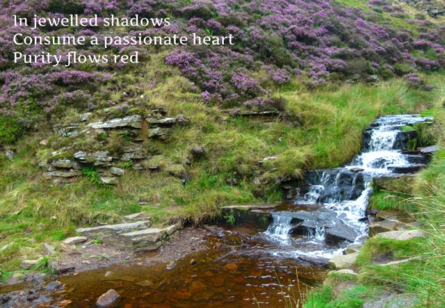 In jewelled shadows Consume a passionate heart Purity flows red