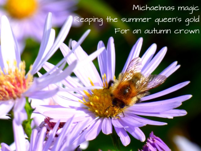 Michaelmas magic Reaping the summer queen's gold For an autumn crown