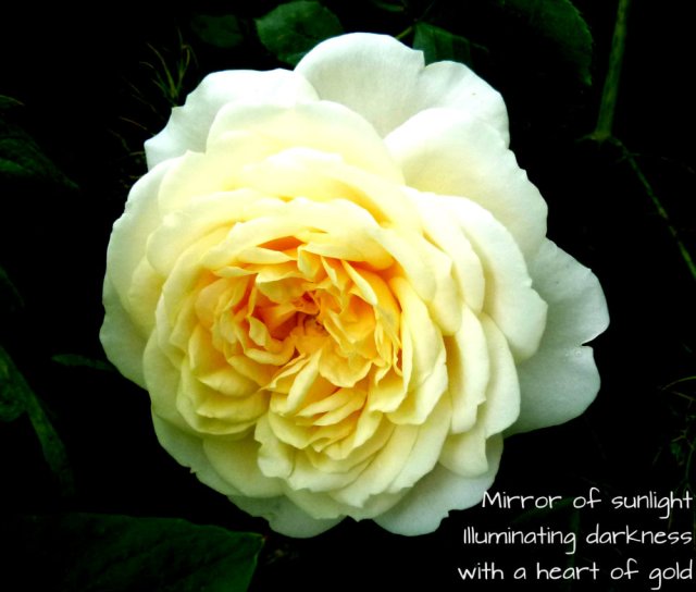 Mirror of sunlight Illuminating darkness with a heart of gold