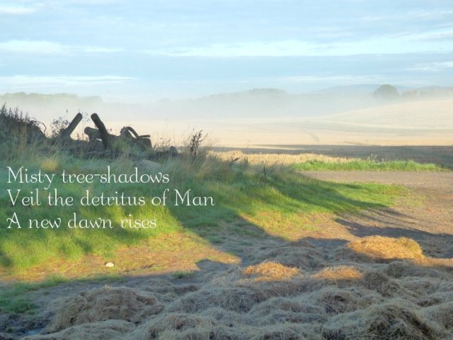 Misty tree-shadows Veil the detritus of Man A new dawn rises