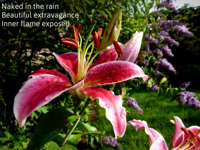 Naked in the rain Beautiful extravagance Inner flame exposed