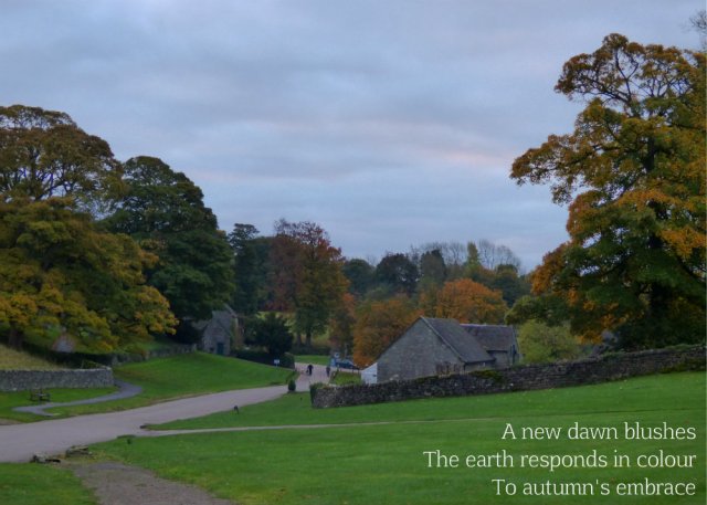 A new dawn blushes The earth responds in colour To autumn's embrace