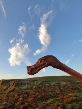 Nick Birds SE Ilkley 2015 (6)