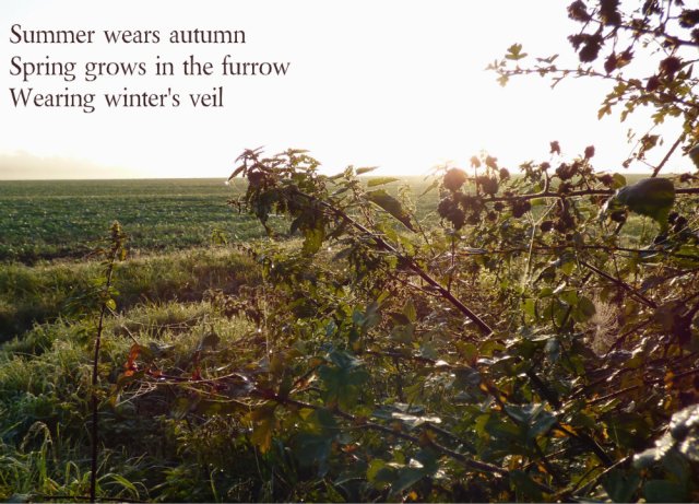 Summer wears autumn Spring grows in the furrow Wearing winter's veil