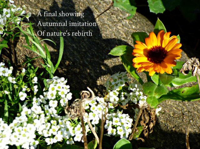 A final showing Autumnal imitation Of nature's rebirth