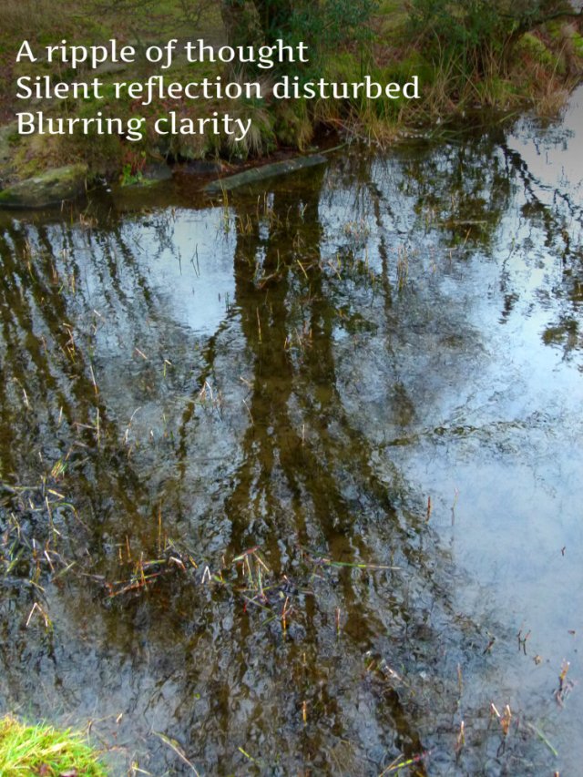 A ripple of thought Silent reflection disturbed Blurring clarity
