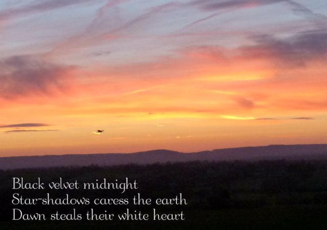 Black velvet midnight Star-shadows caress the earth Dawn steals their white heart