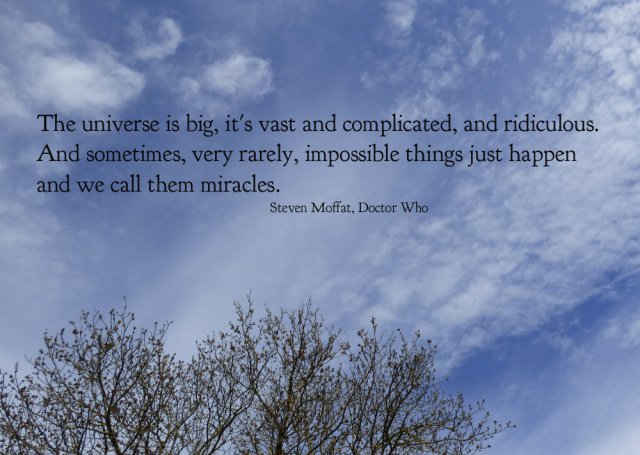 garden flowers birds 153