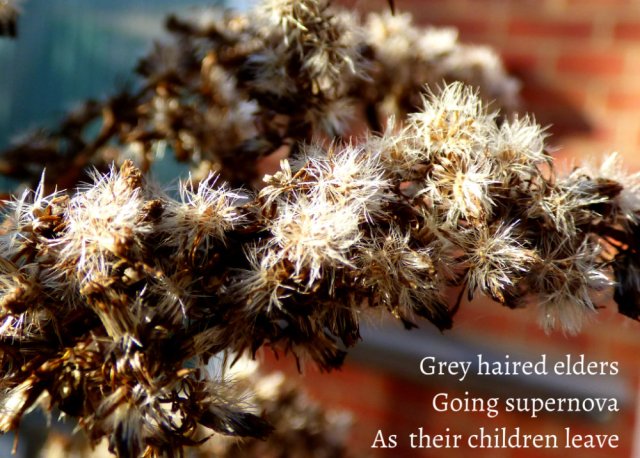 Grey haired elders Going supernova As  their children leave