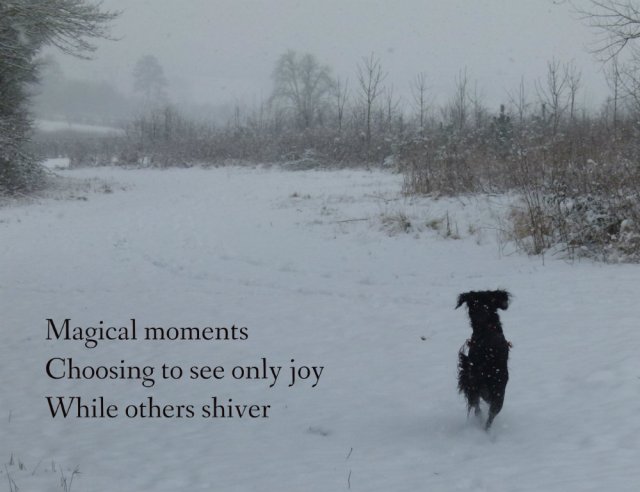 Magical moments Choosing to see only joy While others shiver