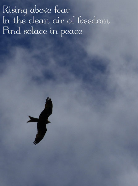 Rising above fear In the clean air of freedom Find solace in peace