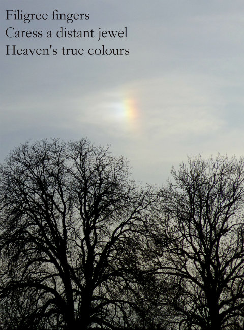 Filigree fingers Caress a distant jewel Heaven's true colours