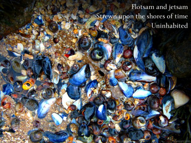 Flotsam and jetsam Strewn upon the shores of time Uninhabited