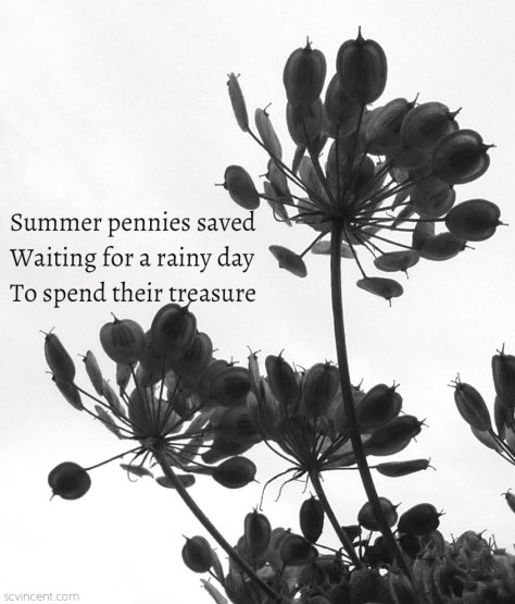 Summer pennies saved Waiting for a rainy day To spend their treasure
