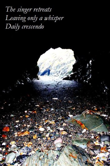 The singer retreats leaving only a whisper daily crescendo