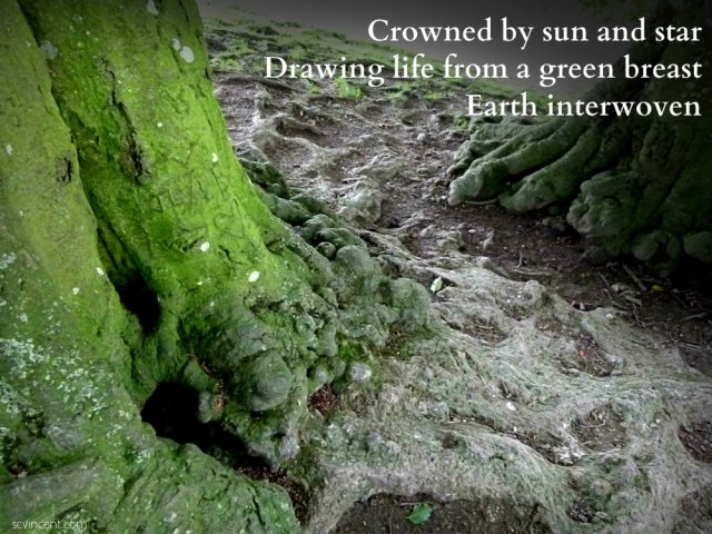 Crowned by sun and star Drawing life from a green breast Earth interwoven