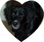 Image 1-20-16 at 2.07 PM