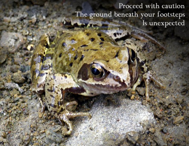 Proceed with caution The ground beneath your footsteps Is unexpected