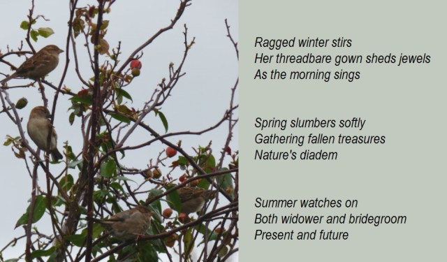 Ragged winter wakes