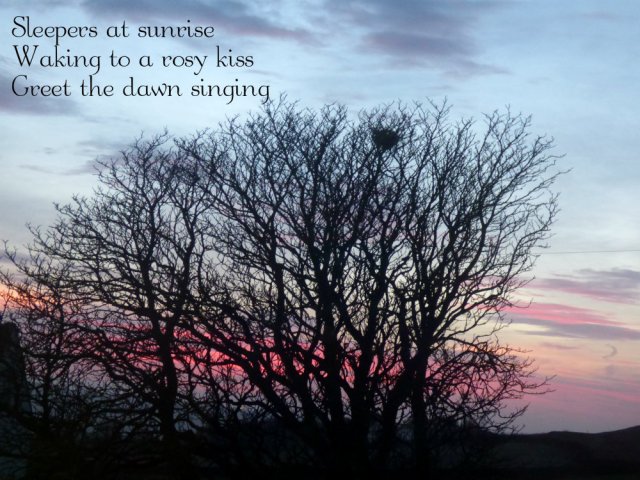 Sleepers at sunrise Waking to a rosy kiss Greet the dawn singing