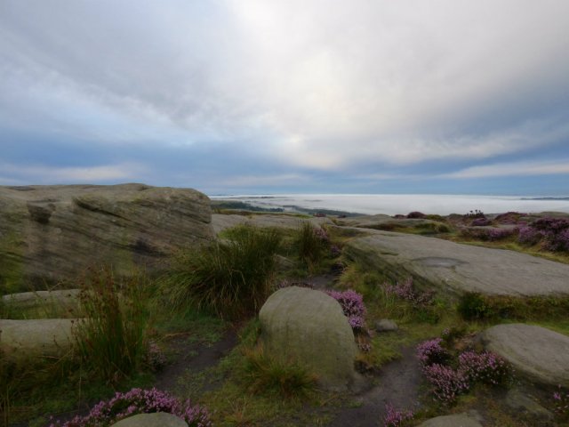 heather 2015 derbyshire, higger tor, beeley circle, edensor, bak 078