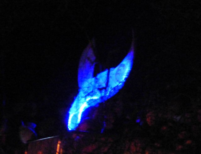 imbolc fox weekend 059