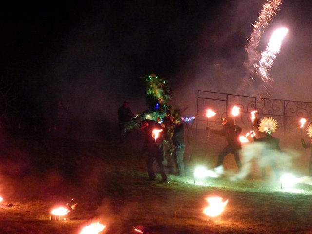 imbolc fox weekend 139