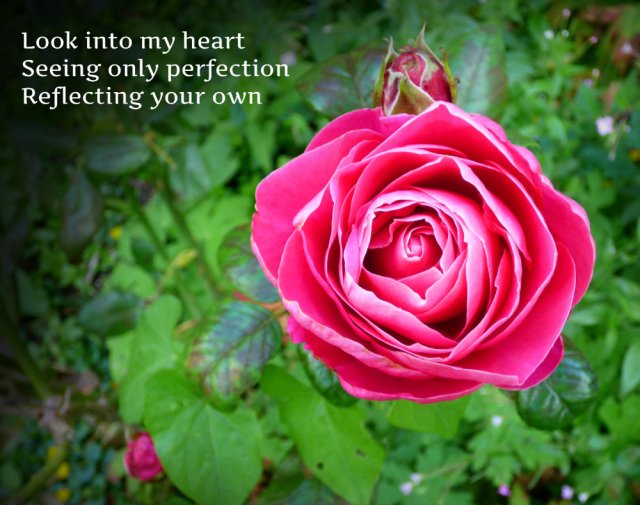 Look into my heart Seeing only perfection Reflecting your own