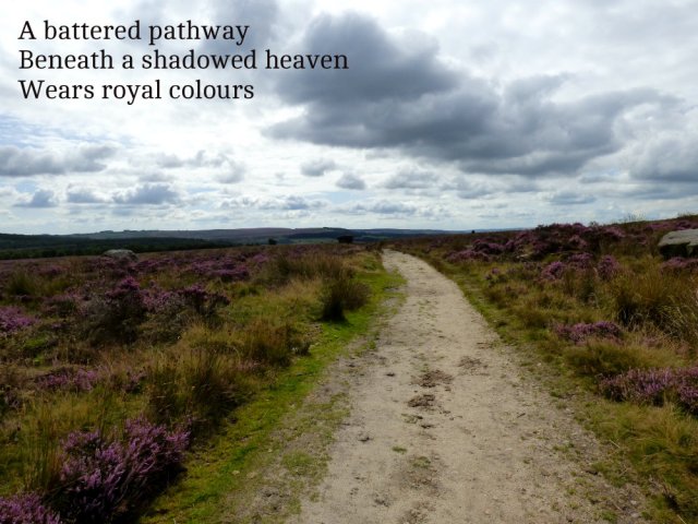 A battered pathway Beneath a shadowed heaven Wears royal colours