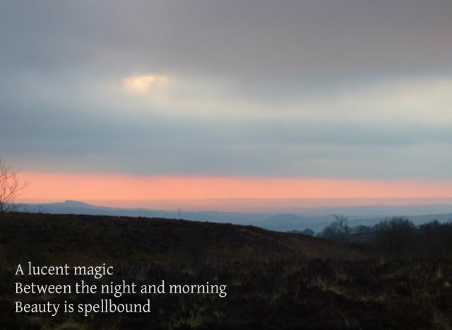 A lucent magic Between the night and morning Beauty is spellbound