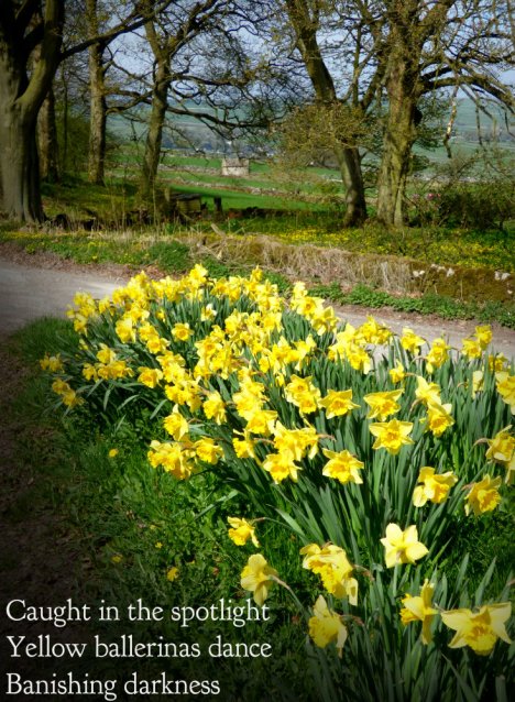 Caught in the spotlight Yellow ballerinas dance Banishing darkness