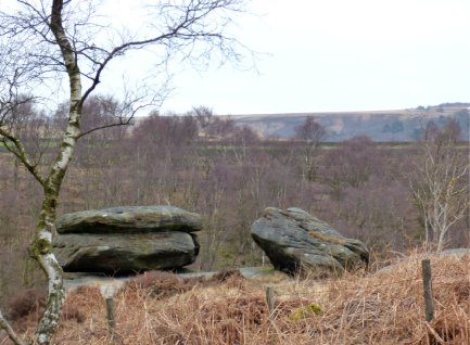 derbyshire lambs hawk kestrel crone stone tideswell lillingstone 004