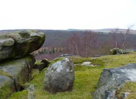 derbyshire lambs hawk kestrel crone stone tideswell lillingstone 011