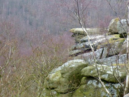 derbyshire lambs hawk kestrel crone stone tideswell lillingstone 013