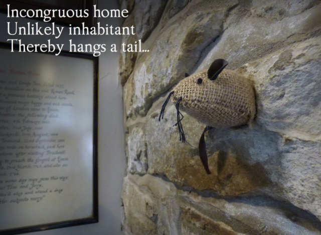 Incongruous home Unlikely inhabitant Thereby hangs a tail...